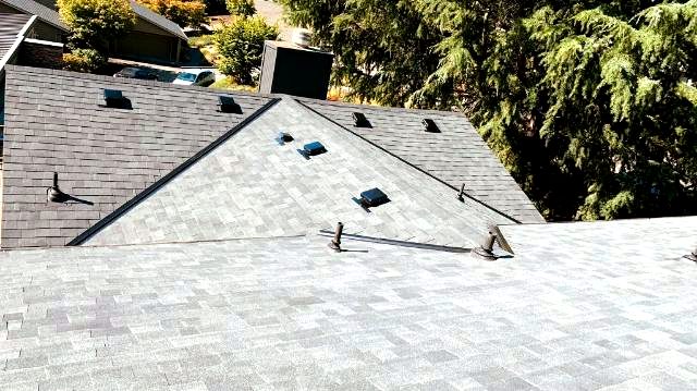 Clean asphalt shingle roof ready for Pacific Northwest winter weather